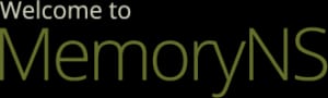 memoryns-textlogo